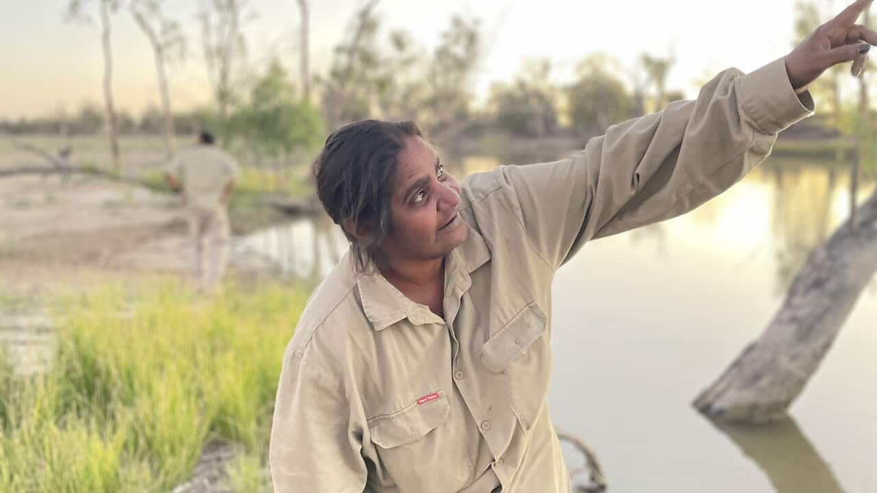 Senior ranger with River Murray & Malley Aboriginal Corporation, Lucy Sumner, inspects a riverland tree, with Indigenous ranger Thomas Kurt in the background (Peta Doherty).jpg