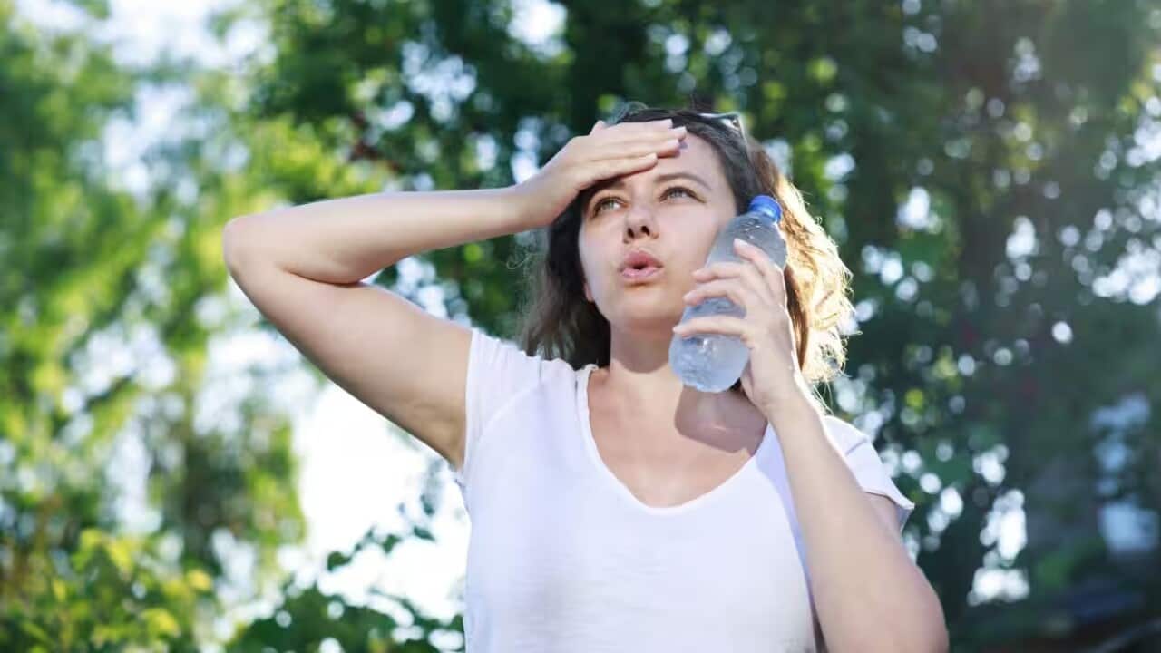 Australia Summer heat.jpg