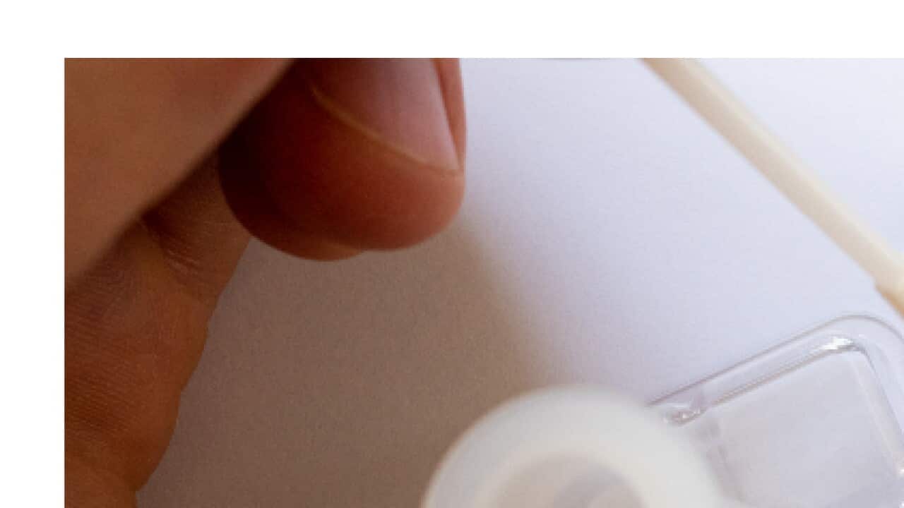 News and Current affairs