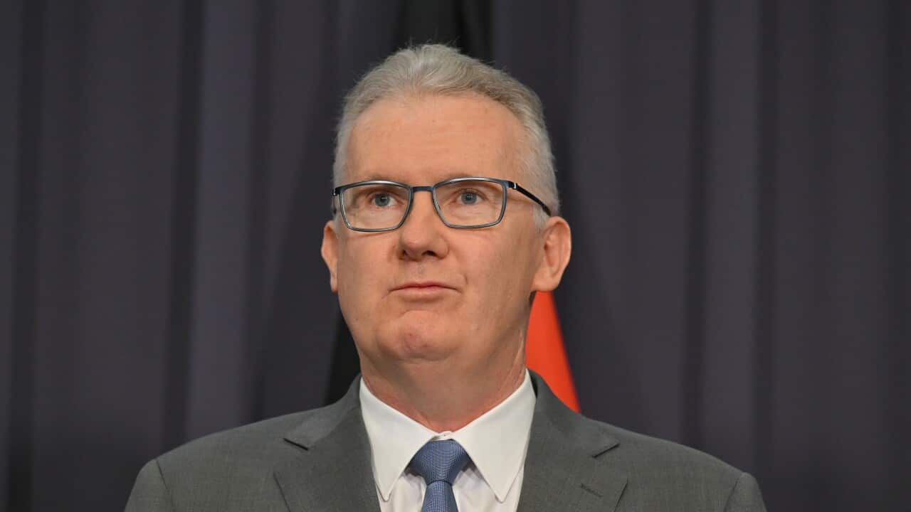 Tony Burke standing in front of a dark blue curtain.