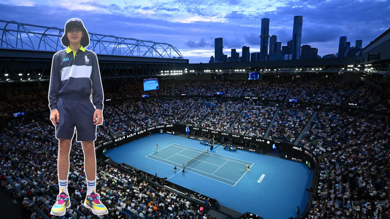 Untitled design (2).png