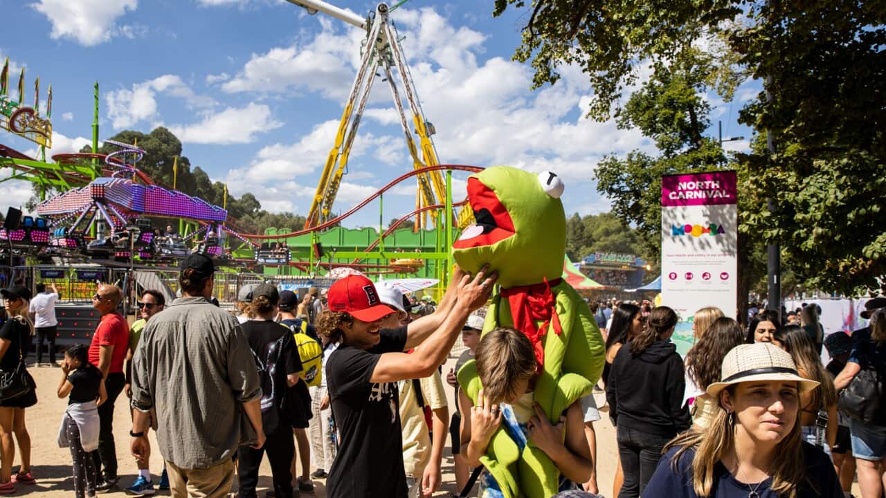 MOOMBA FESTIVAL BIRDMAN RALLY