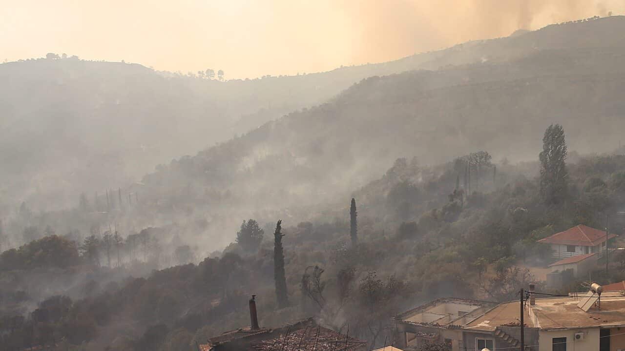 The wildfire passed through Viliza village in the area of Ancient Olympia in Greece.