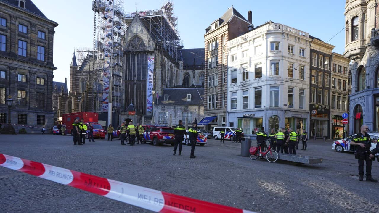Netherlands Stabbing