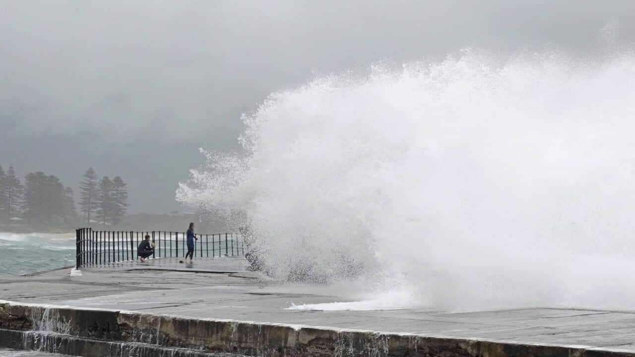 Image for read more article ''