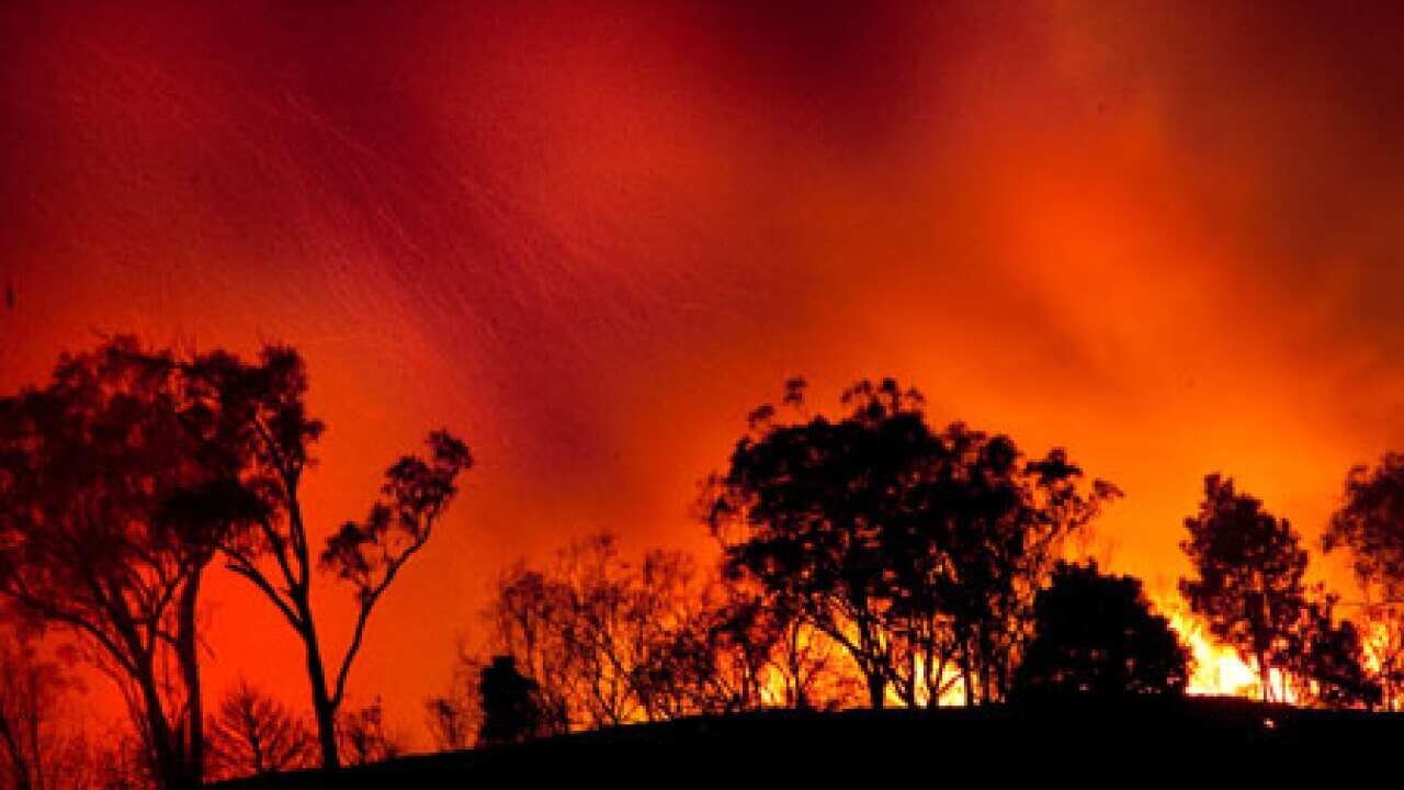 bushfire