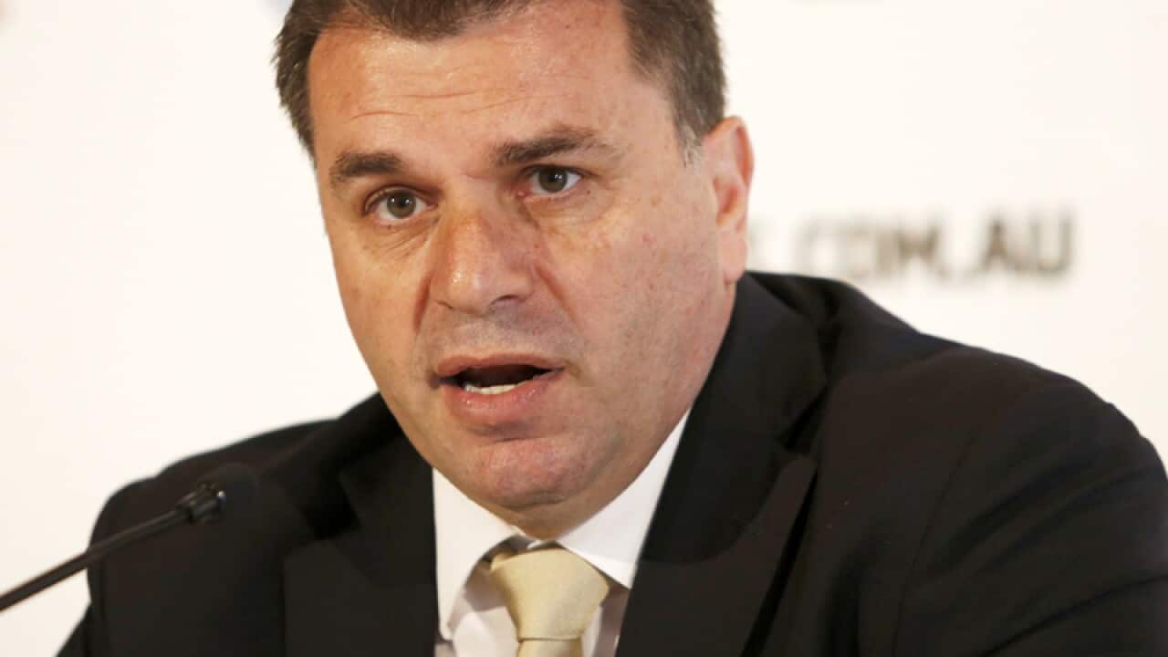 Socceroos coach Ange Postecoglou