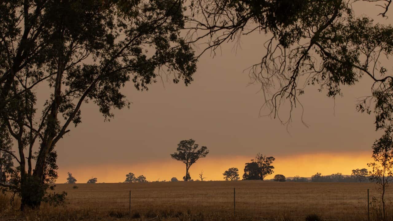 BUSHFIRES VICTORIA