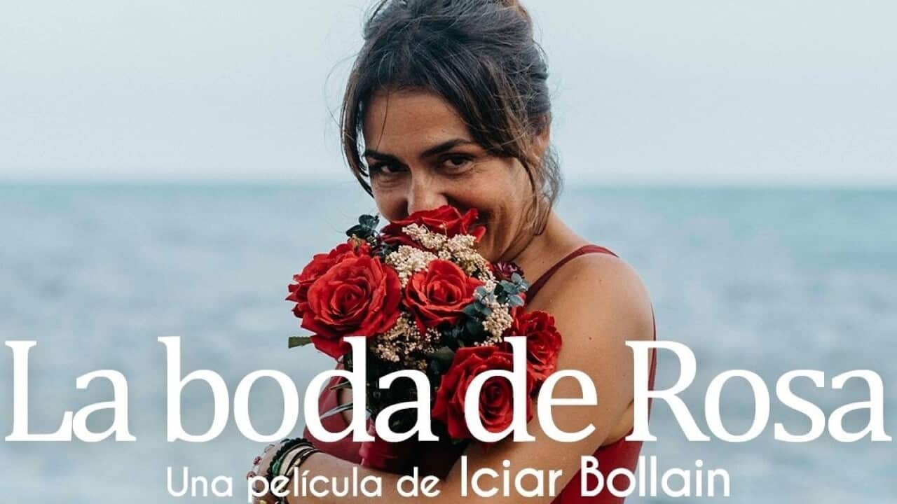 La Boda de Rosa film by Spanish director Iciar Bollain