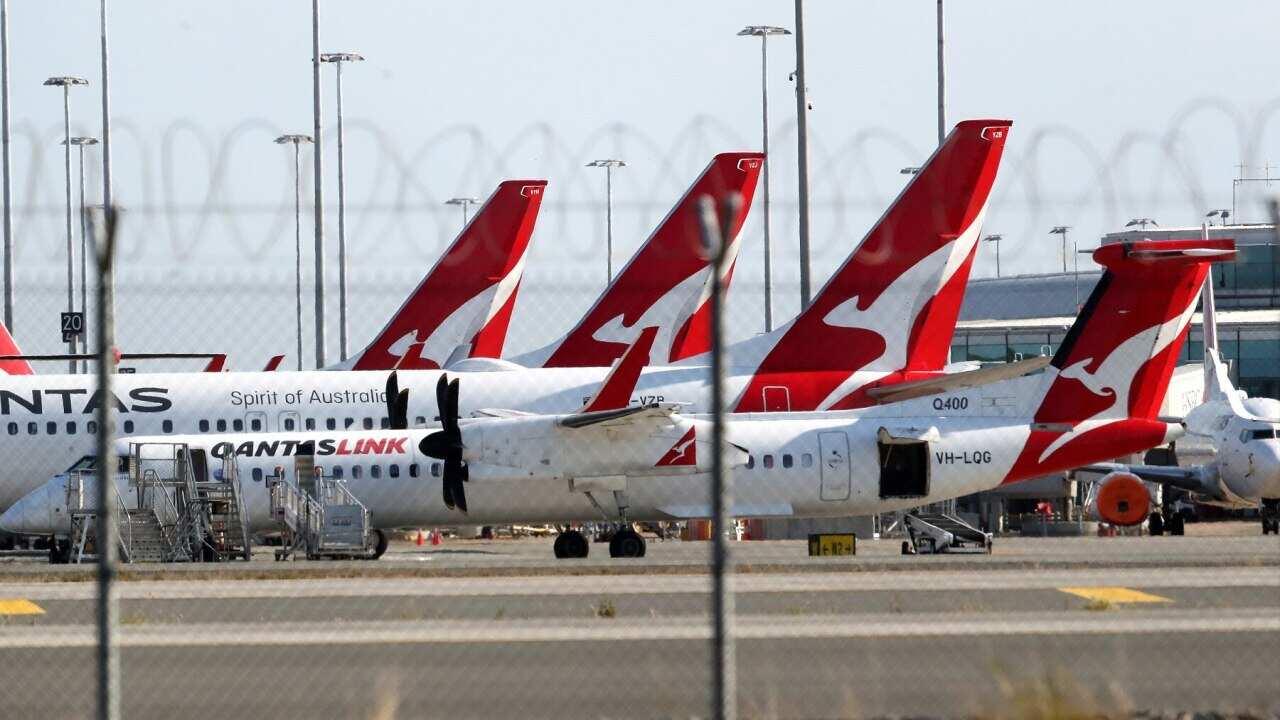 A general view of Qantas planes at Brisbane domestic airport. Monday, September 20, 2021. A traveller has tested positive for COVID-19 after potentially being infectious at Brisbane Airport for four hours.(AAP Image/Jono Searle) NO ARCHIVING
