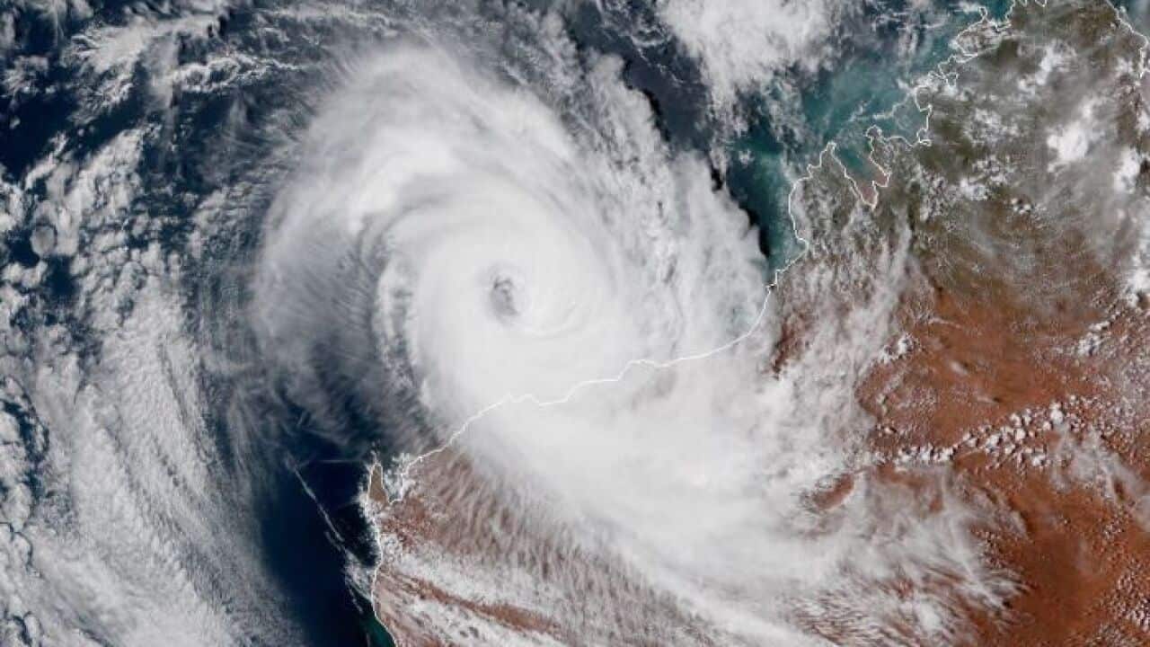 Cyclone