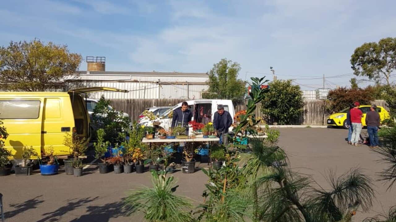 Image for read more article 'Nghe đọc thêm'