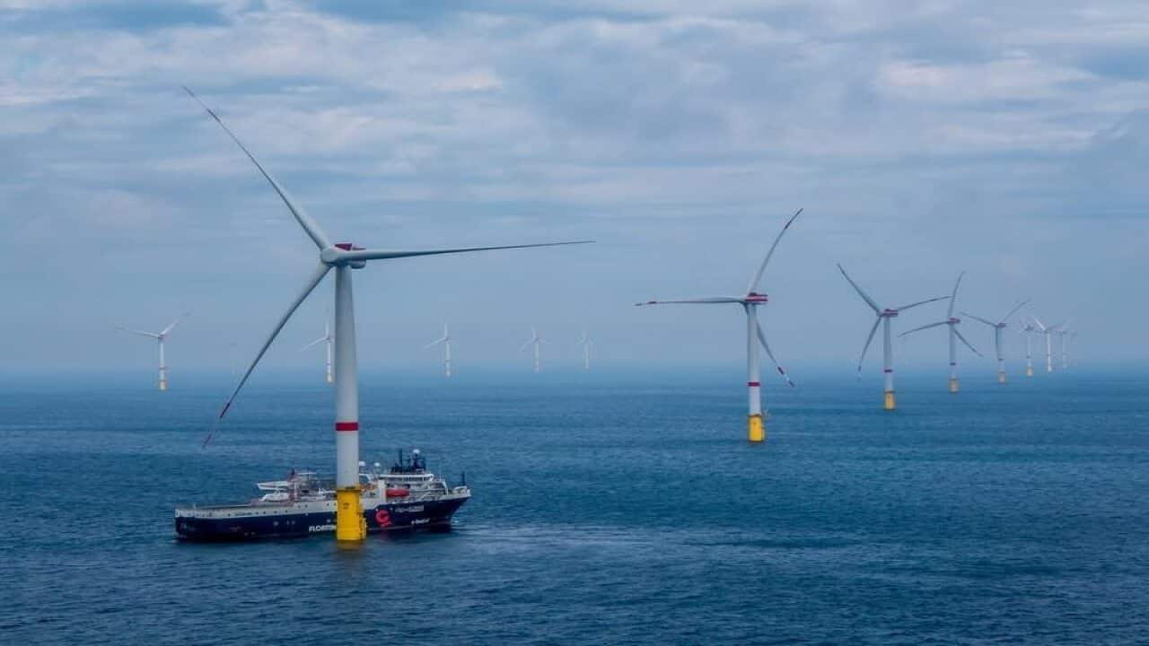 A wind farm project in the German Bight