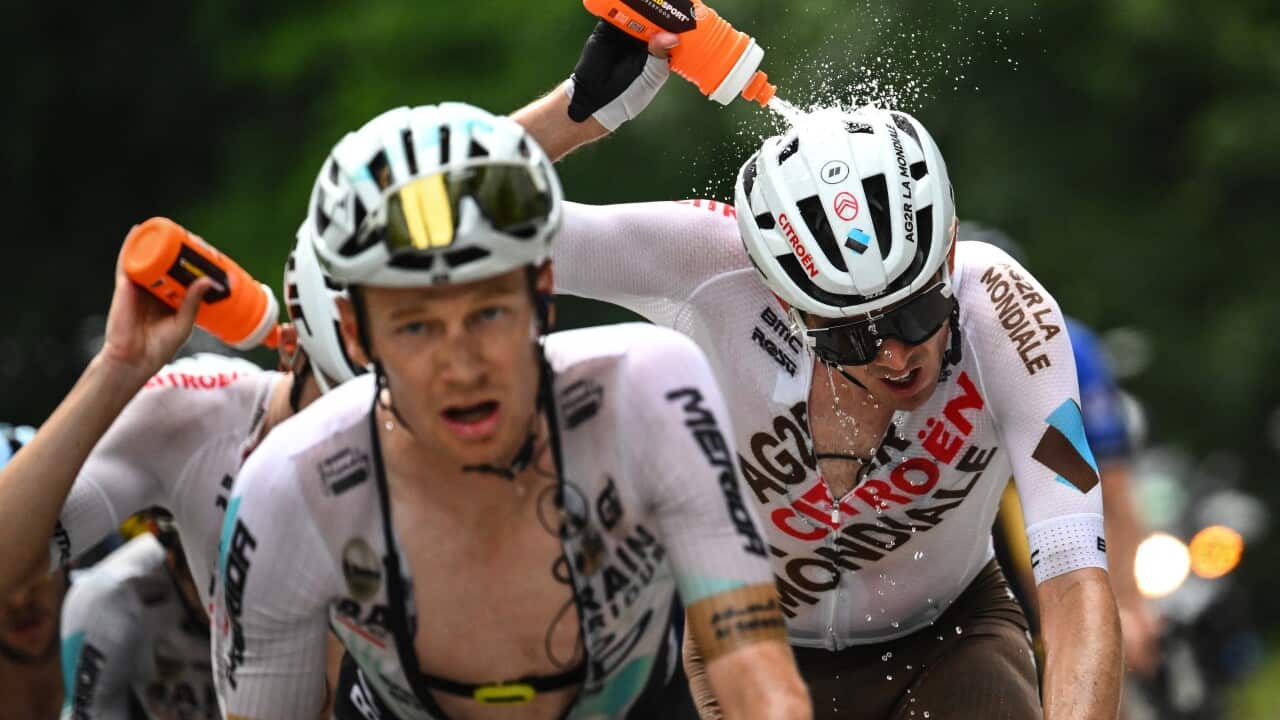 Image for read more article 'READ MORE'