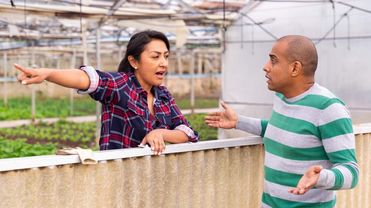 Conflict between neighbors over backyard