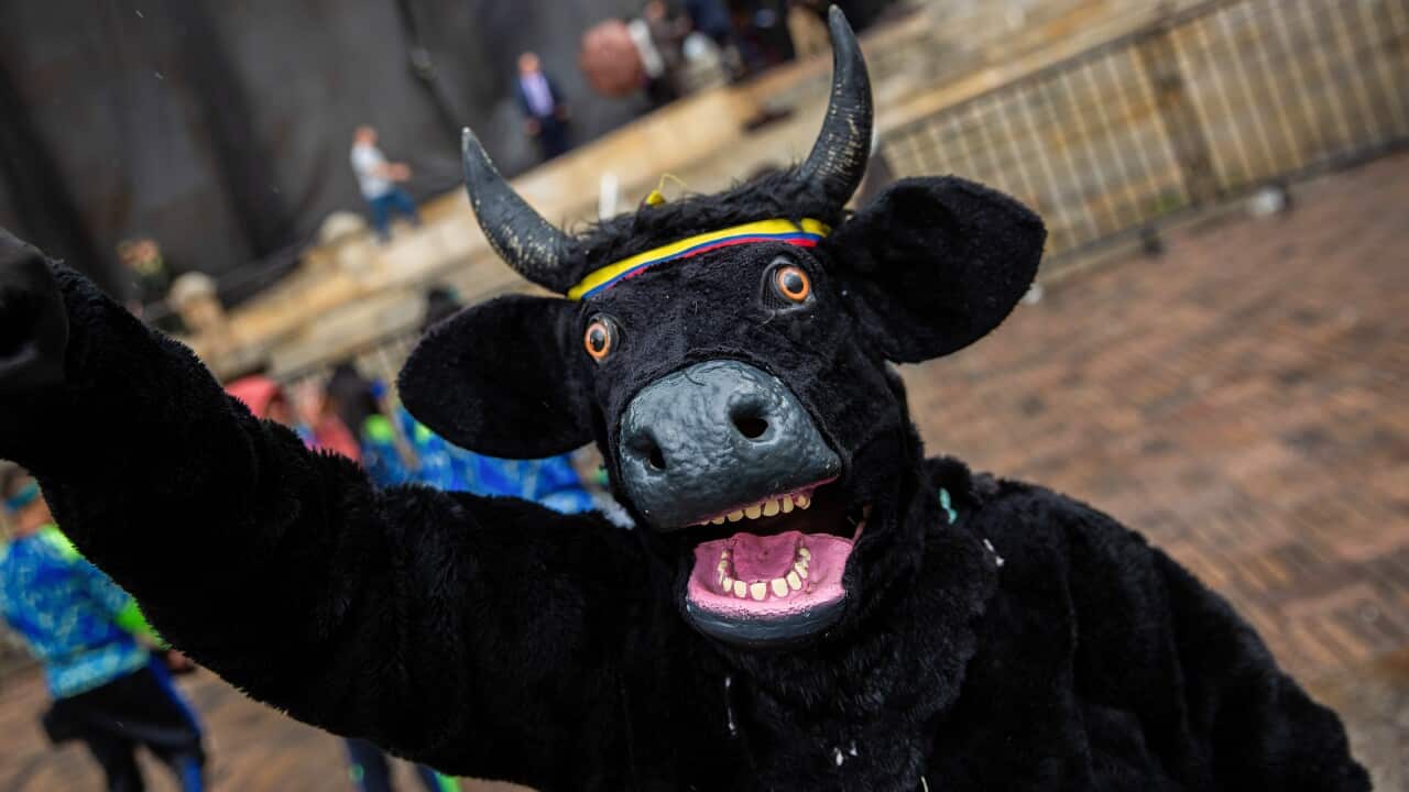 Image for read more article 'Otras noticias:'