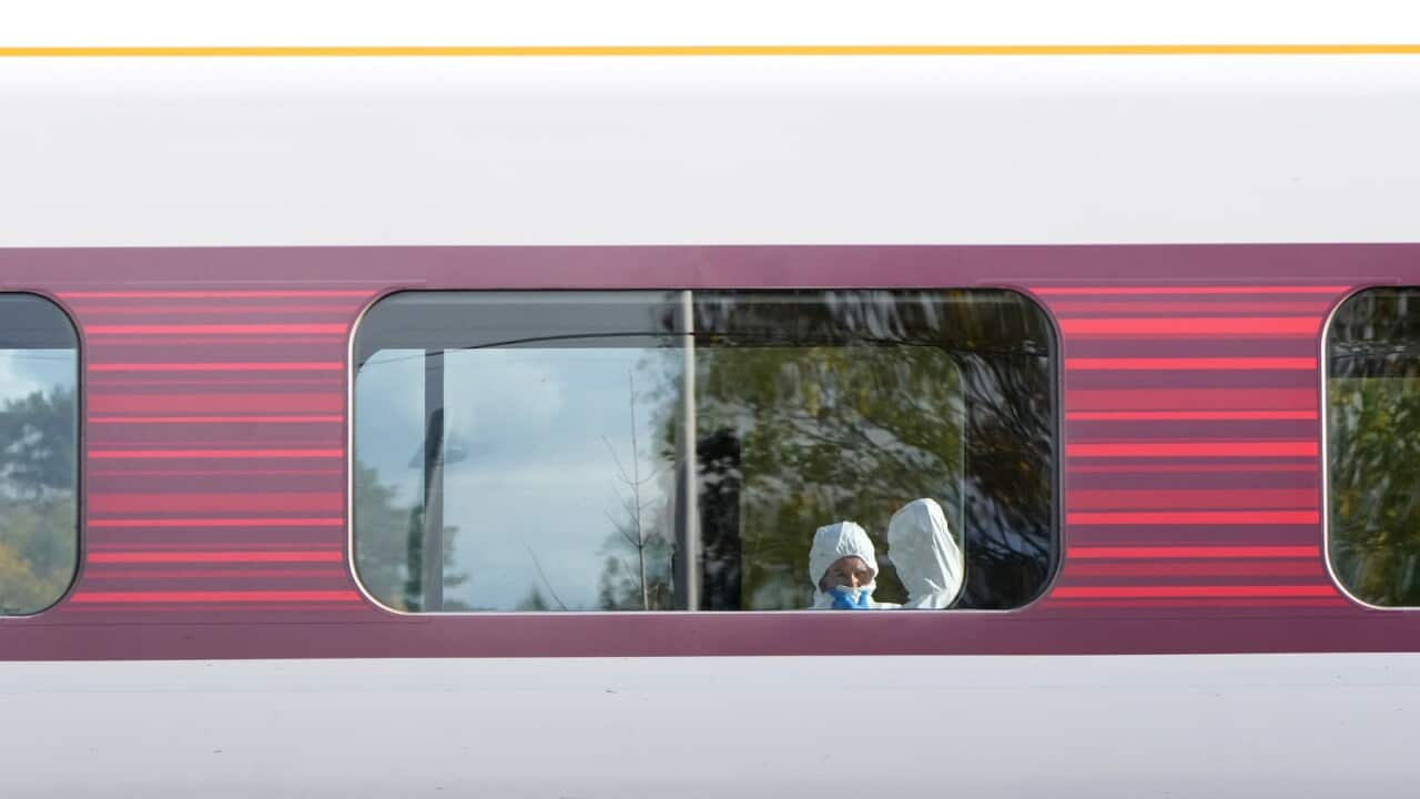 Britain Train Stabbings