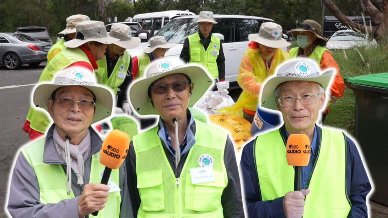 'Ashamed' of discarded noodle packets, these community elders launched a mountain cleanup - Vimarsana News