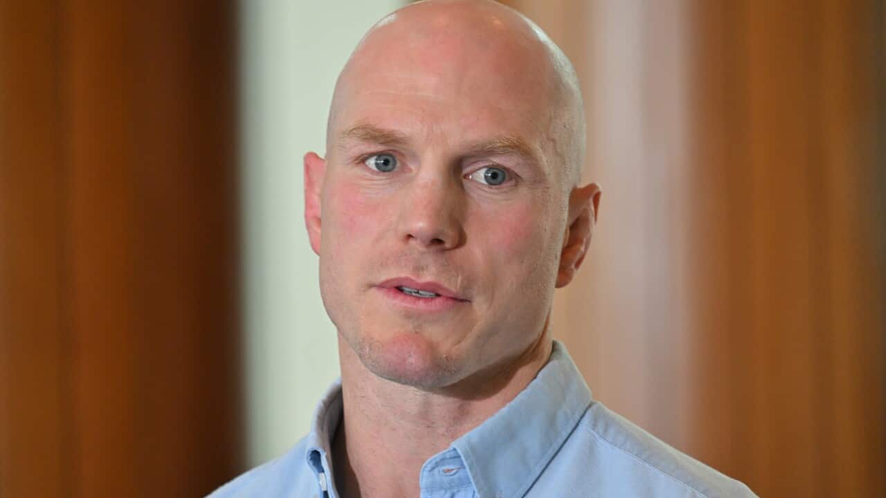 DAVID POCOCK PRESSER