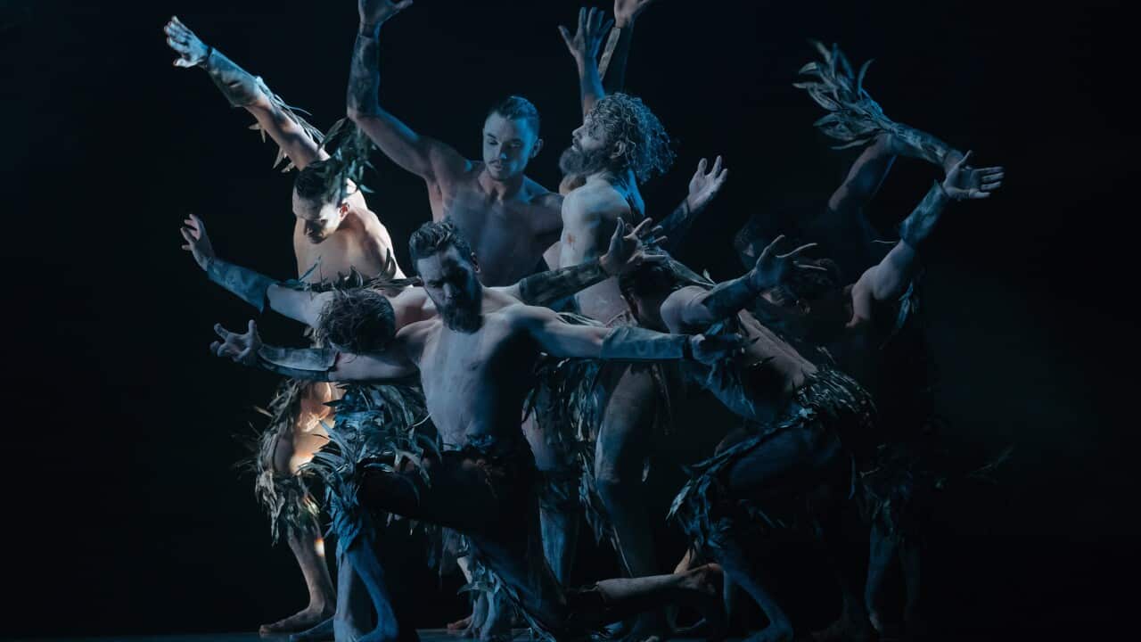 Our history, danced our way: The ‘Bennelong’ story, as told by dance company Bangarra