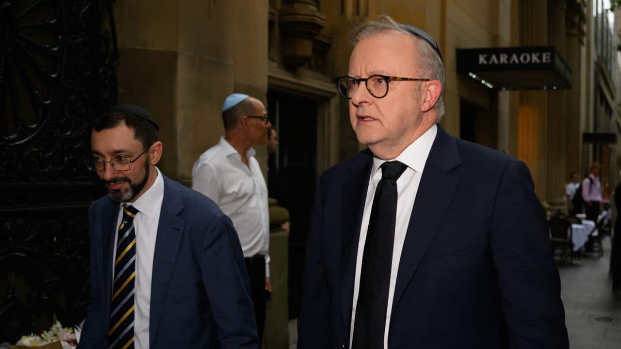 ANTHONY ALBANESE GREAT SYNAGOGUE