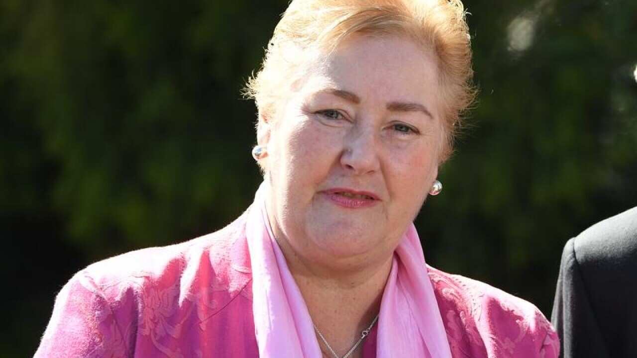 Federal Member for Gilmore Ann Sudmalis speak to the media