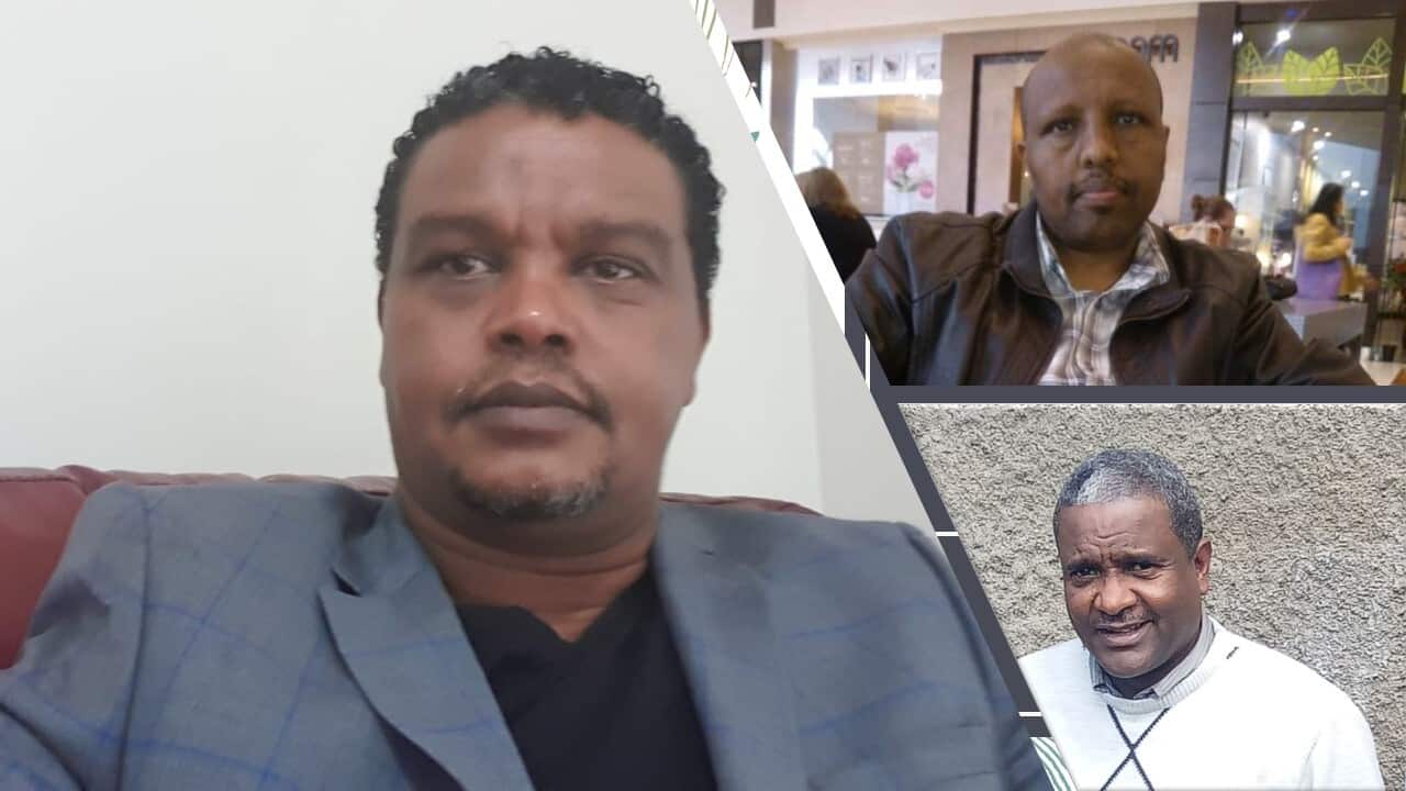 Ethiopian - New Zealanders COVID - 19