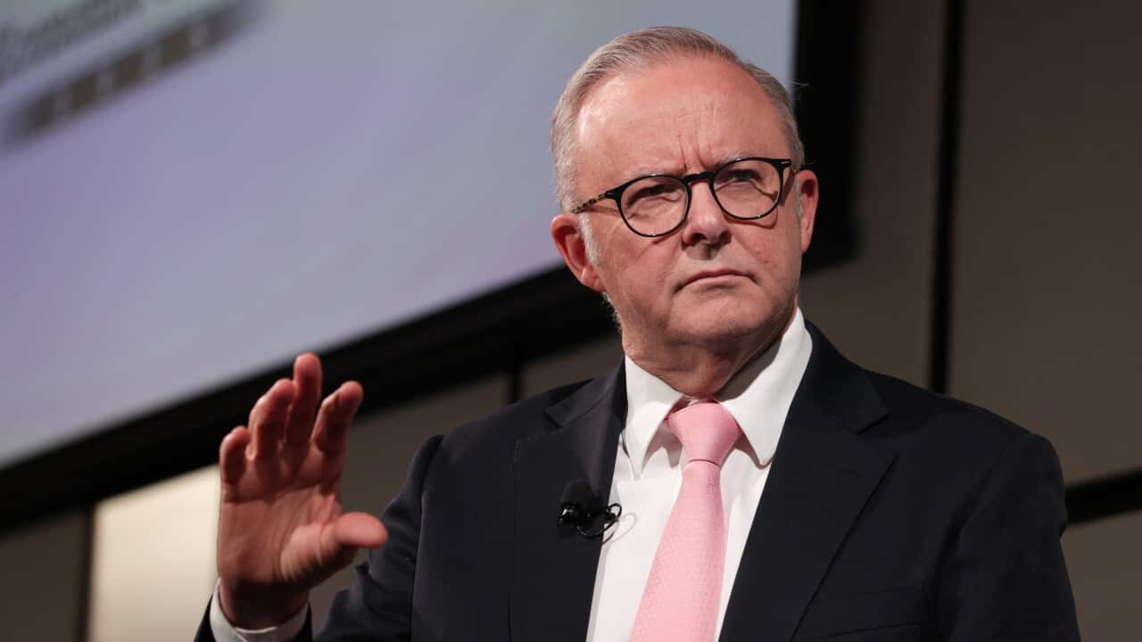 Image for read more article 'READ MORE'