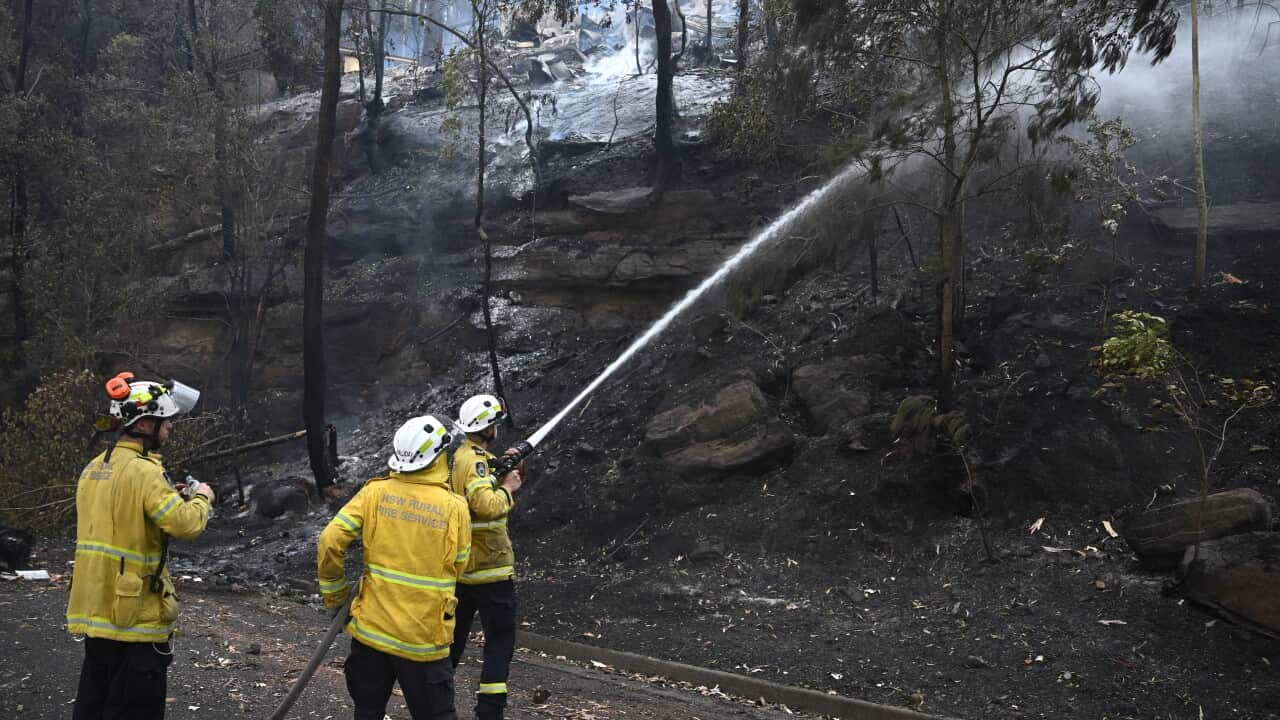 Firefighters holding a hose and putting out a fire.