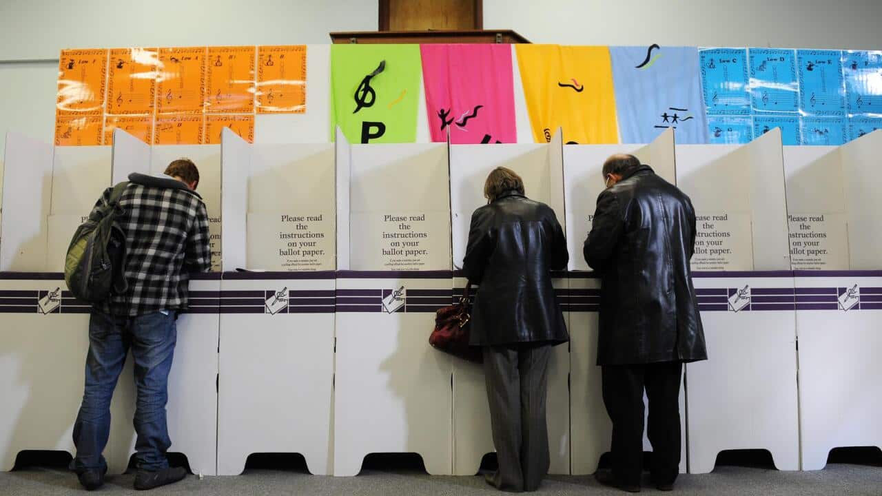 Language limits mostly behind informal voting rate