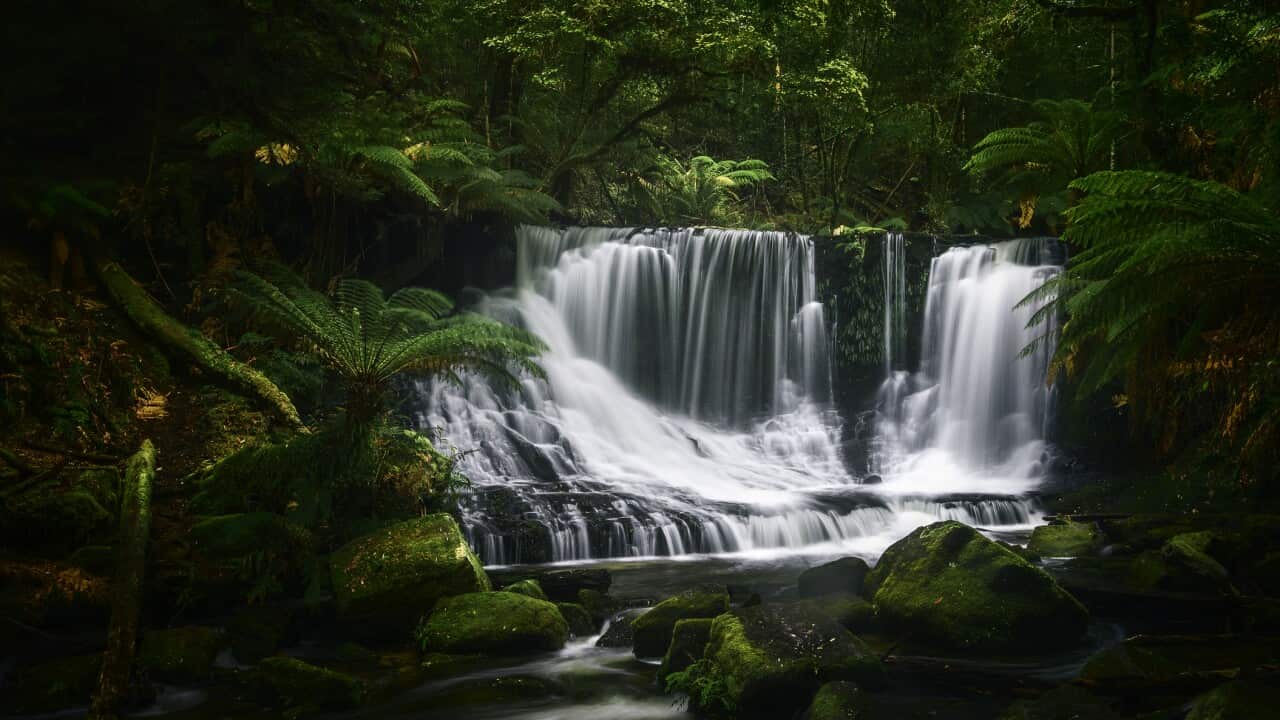 Image for read more article 'اقرأ أيضاً'