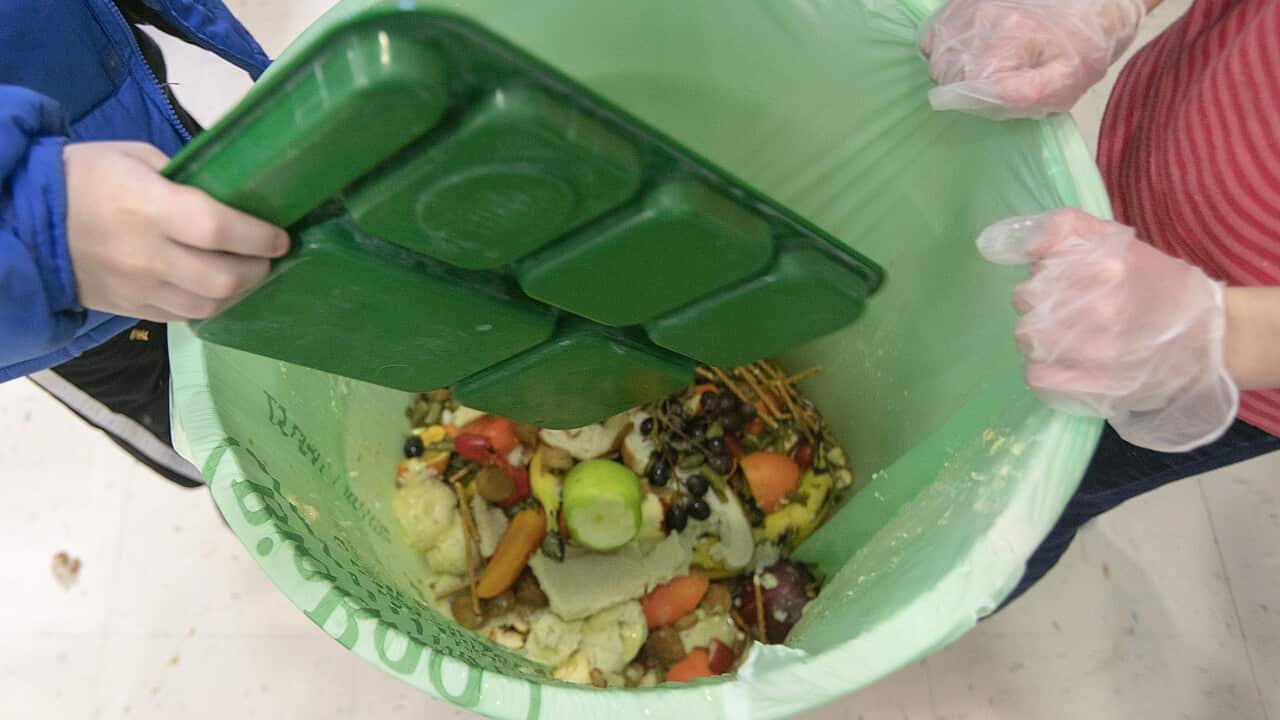 UN Food Waste Report