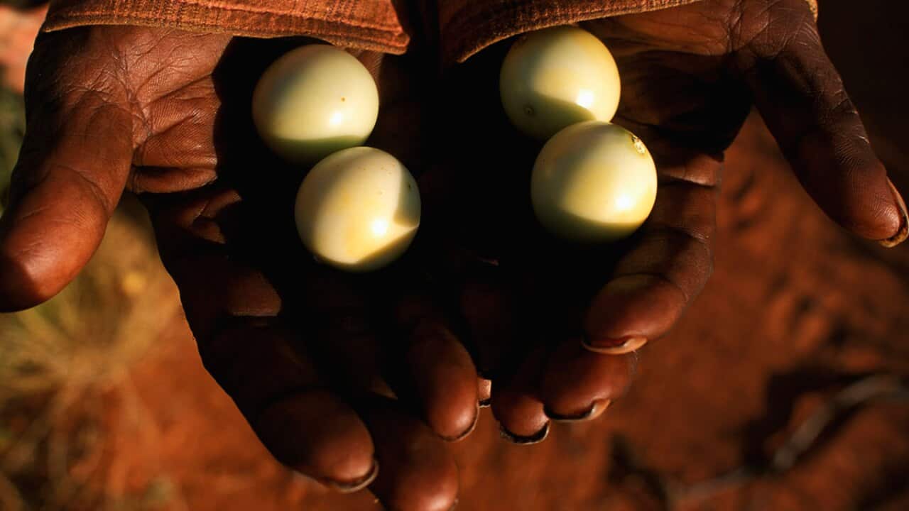 Image for read more article 'READ MORE'