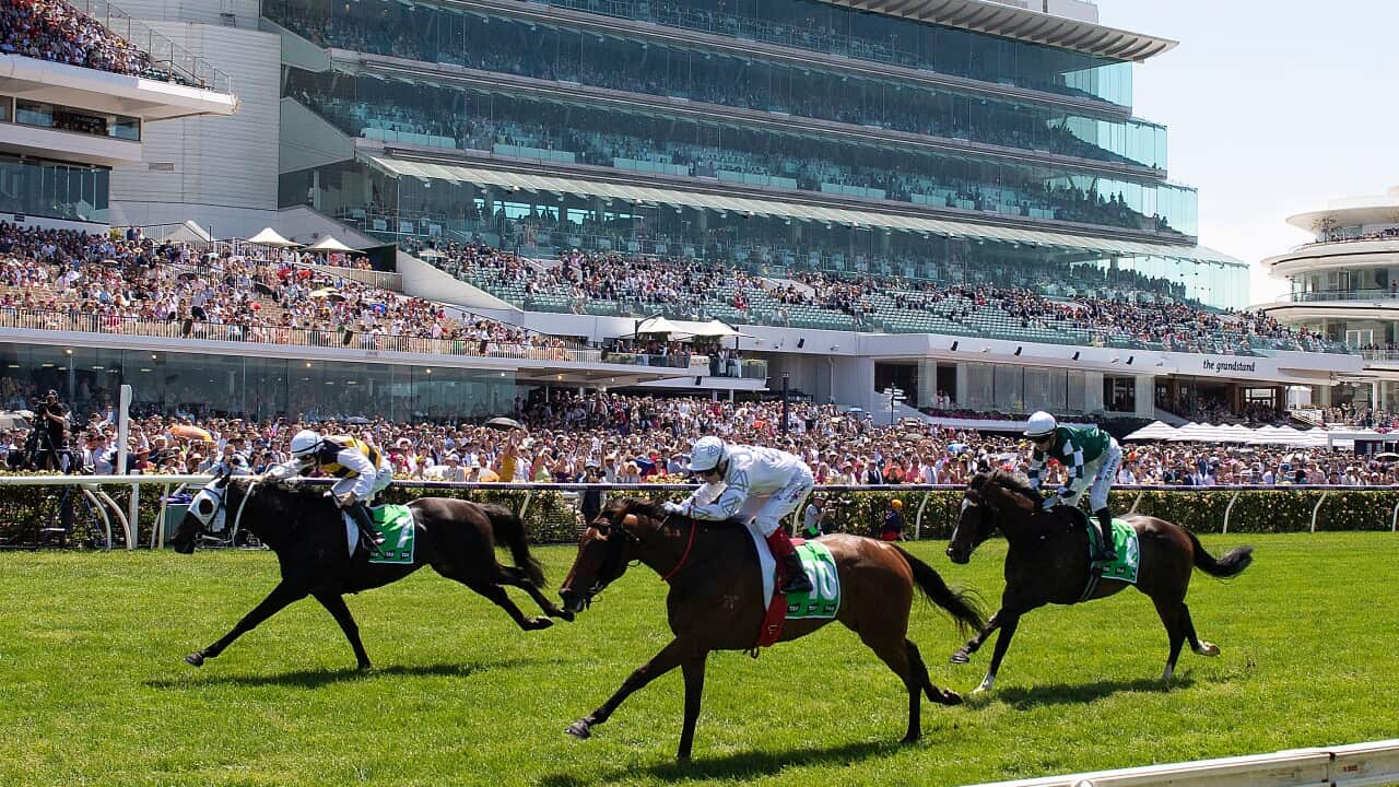 Image for read more article ''