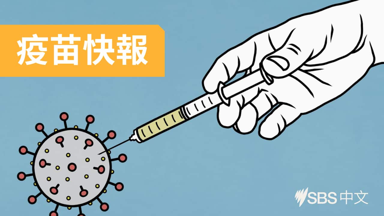 疫苗快報 維州疫情大流行狀態令下周三結束 10月7日 Sbs Chinese 疫苗快報 維州疫情大流行狀態令下周三結束 10月7日 Sbs Chinese