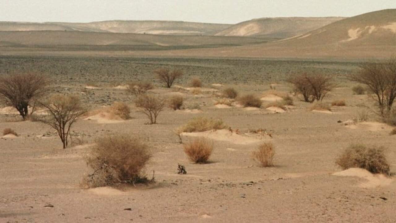 Part of the Western Sahara