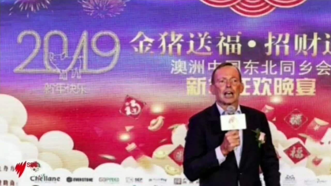 "I'm the last person who anyone would accuse of being a patsy for the Chinese government," Tony Abbott says.