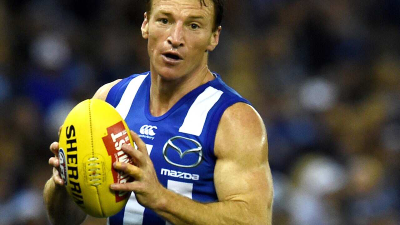 Brent Harvey of the Kangaroos