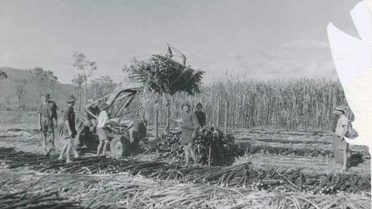 Image for read more article 'READ MORE'