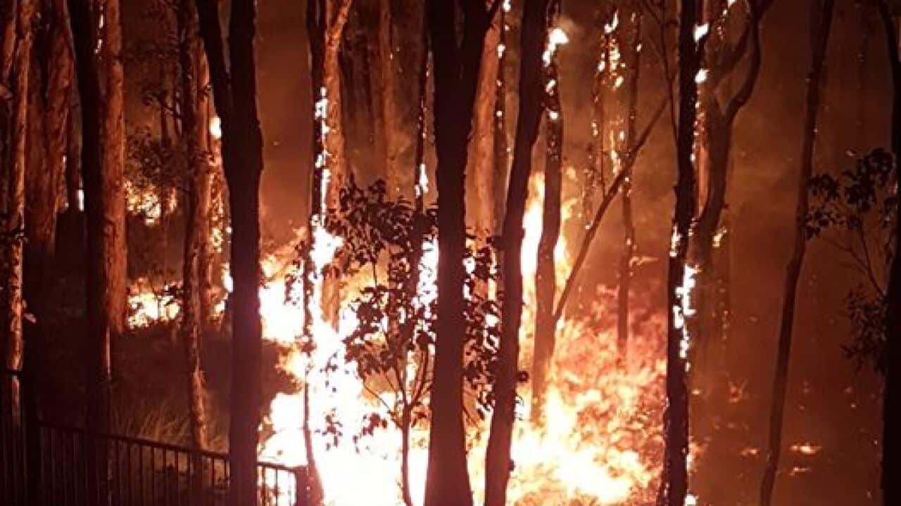 Bushfires queensland 2019 sept dutchie