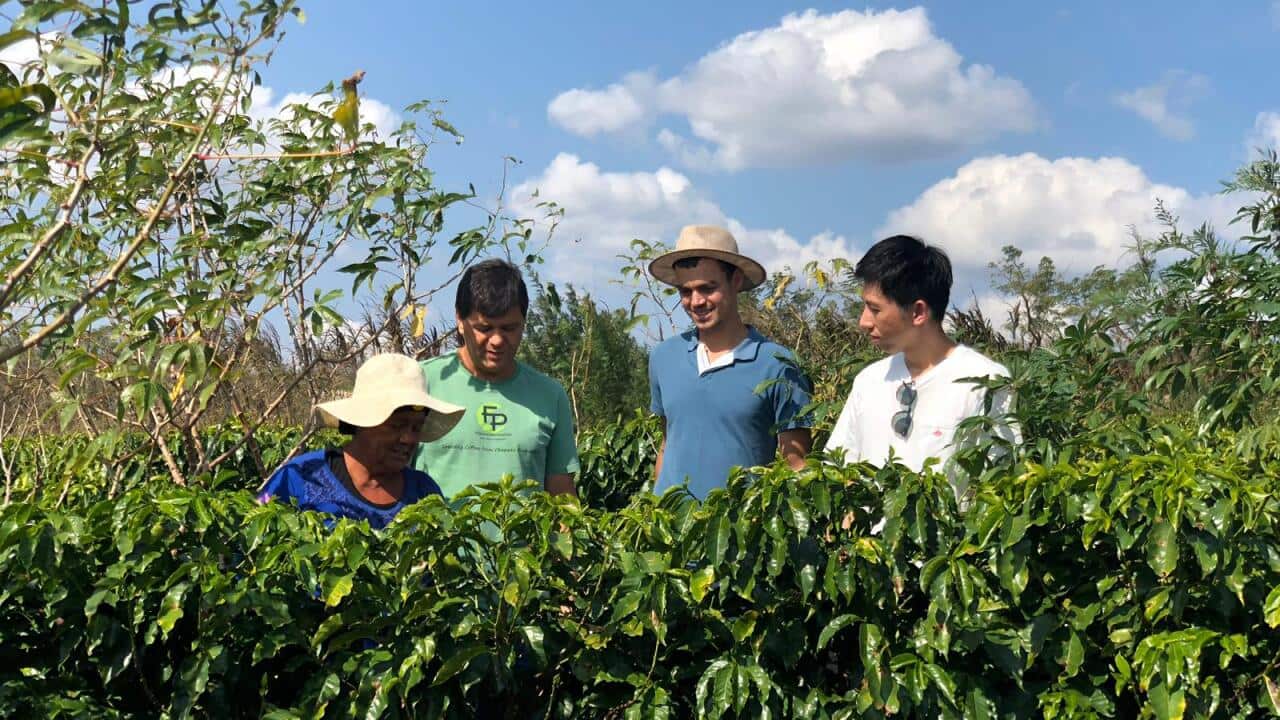 A picker, Silvio, Kleumon Silva Moreira and Toshi at Sitio Canaa