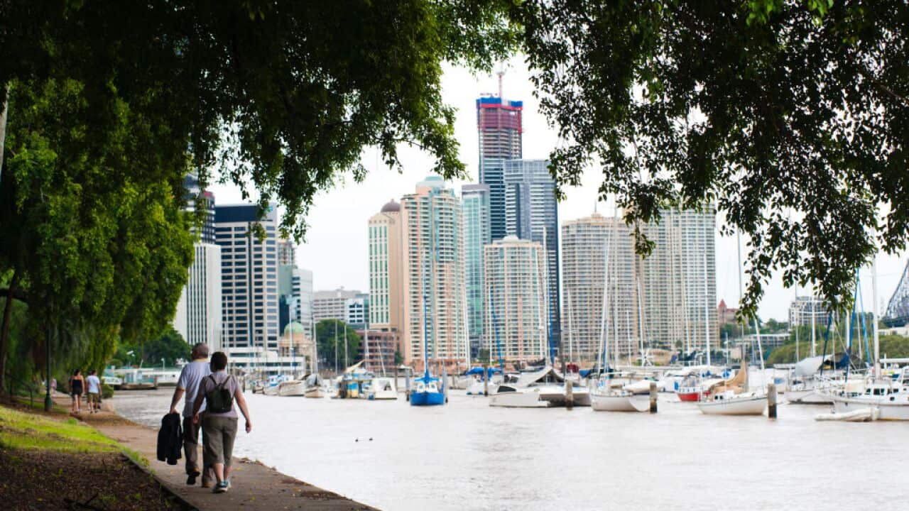 Couple Walking in Brisbane Botanical Gardens, Queensland, Australia