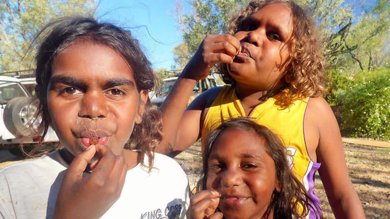 Indigenous childrean eat honey ants near Alice Spring