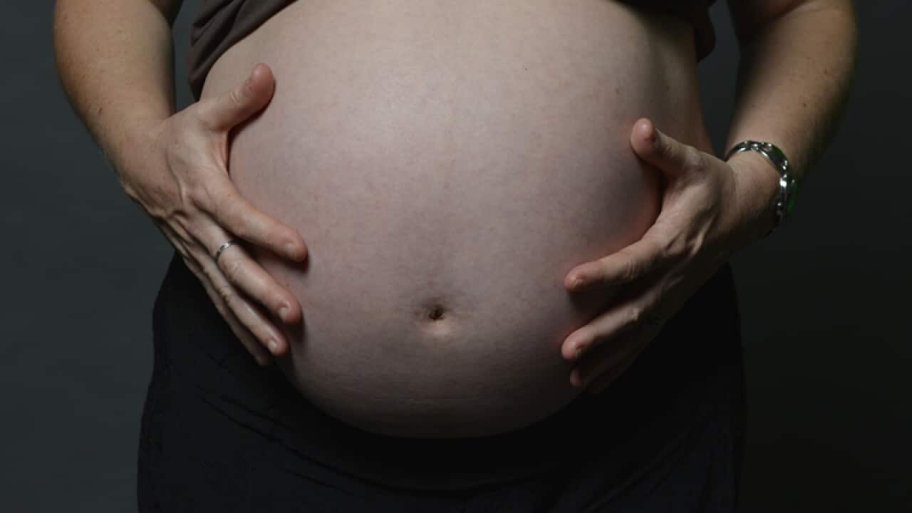 Pregnancy stock in Sydney