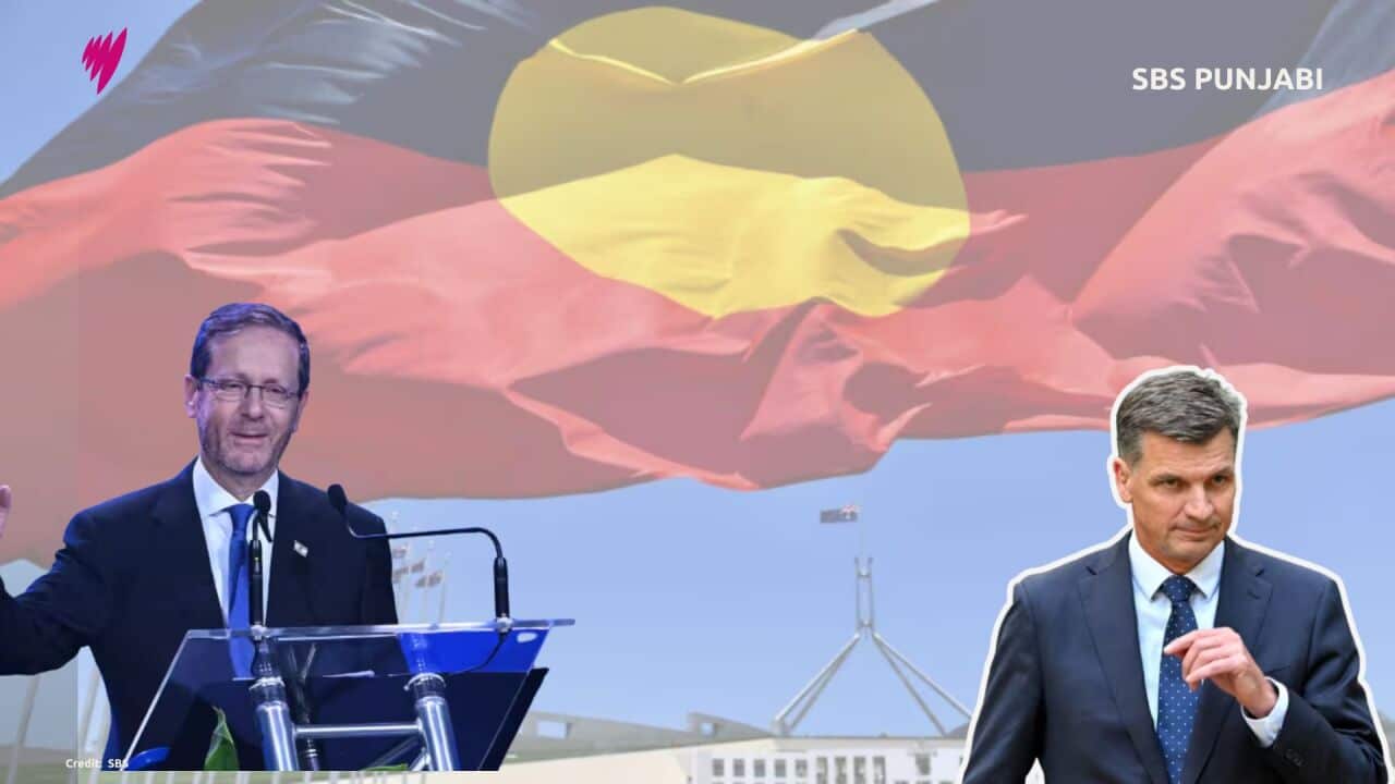 MP's 16x9 (Presentation) (8).jpg