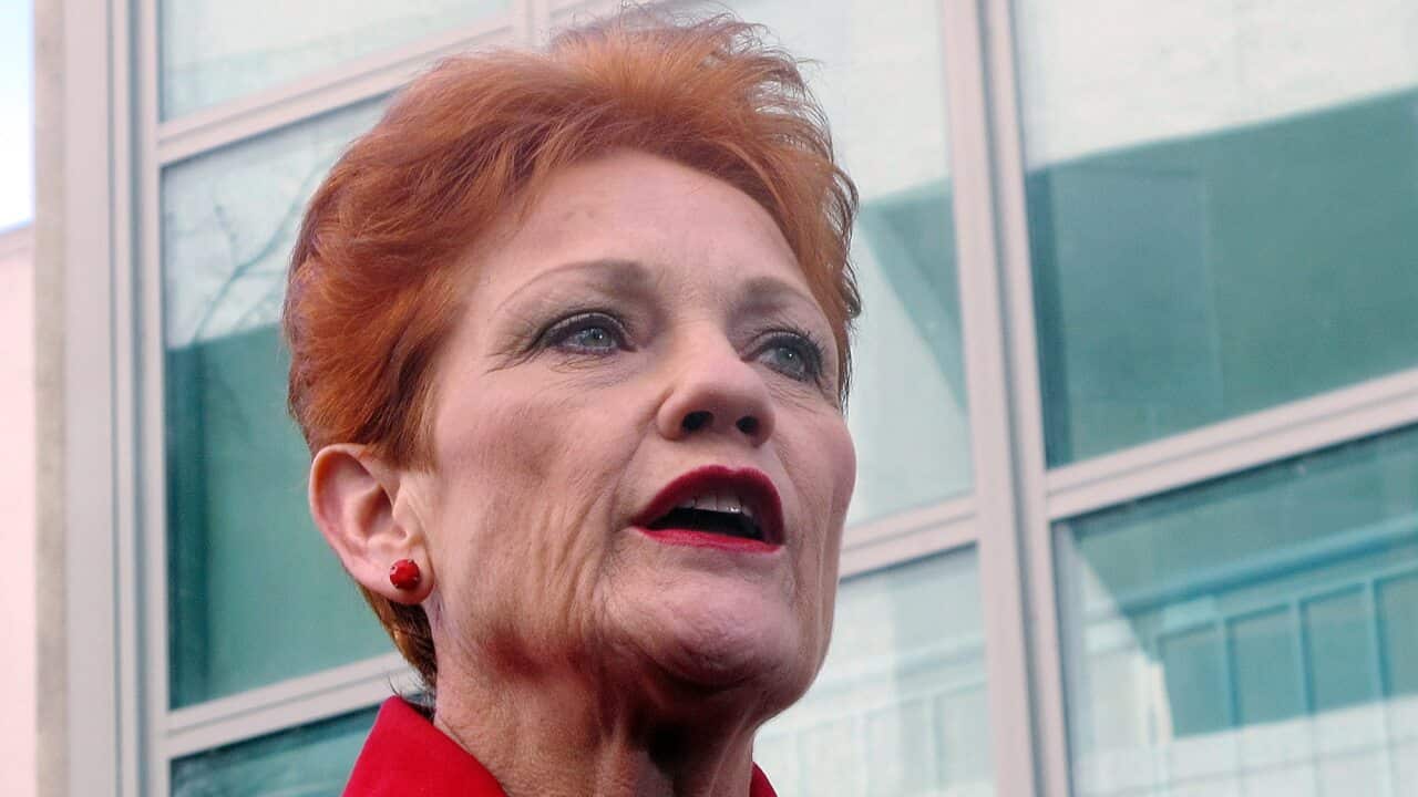 One Nation leader Pauline Hanson has come under fire for secretly-recorded comments about the Port Arthur massacre.