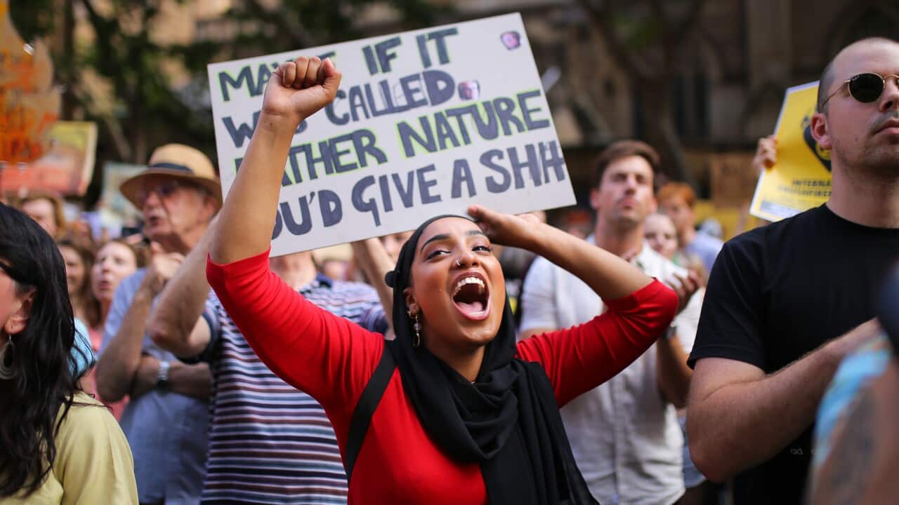 Protesters hold placards during the 'Sack ScoMo!' climate change rally in Sydney. 
