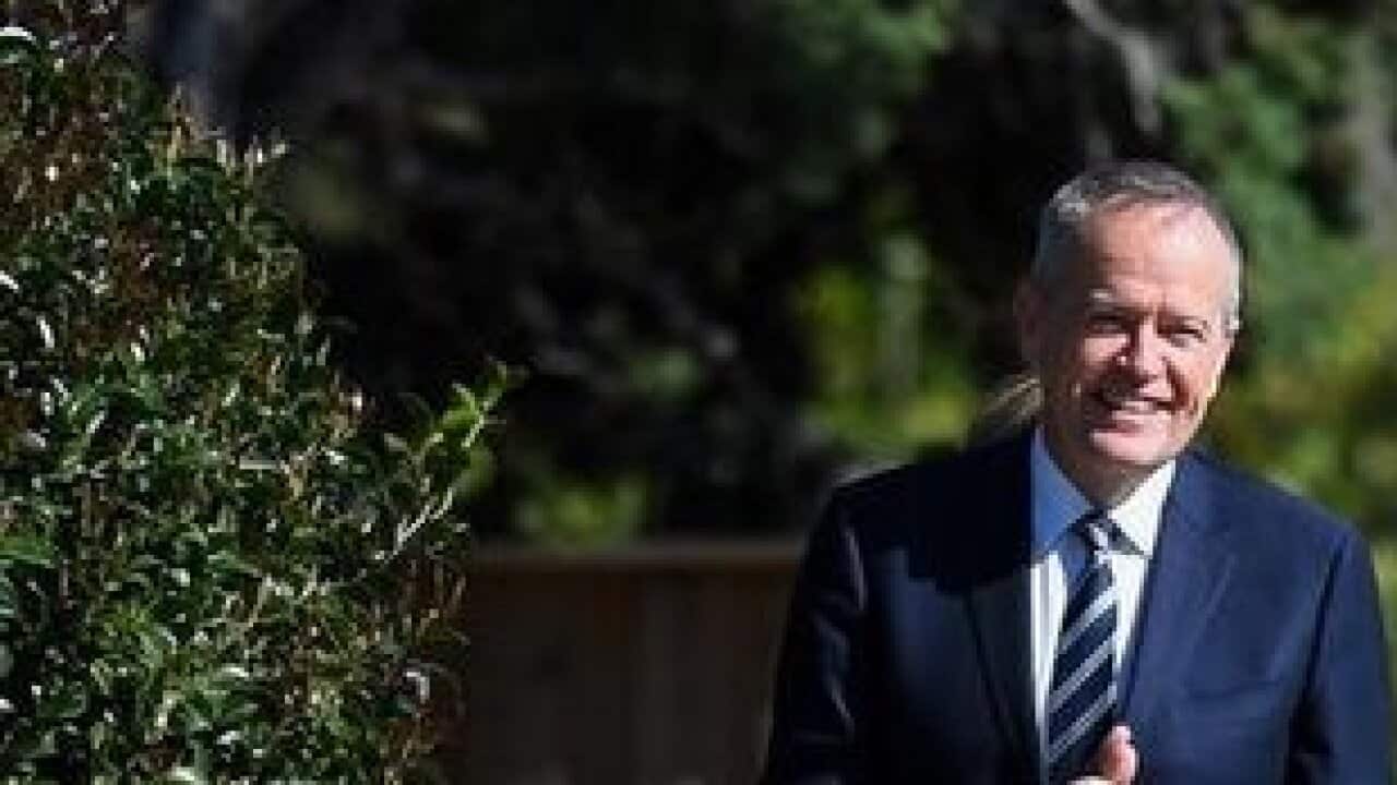 Labor picks Dr Owler for Bennelong.