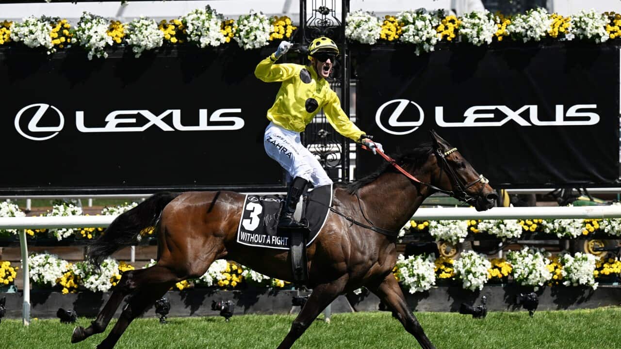 RACING MELBOURNE CUP