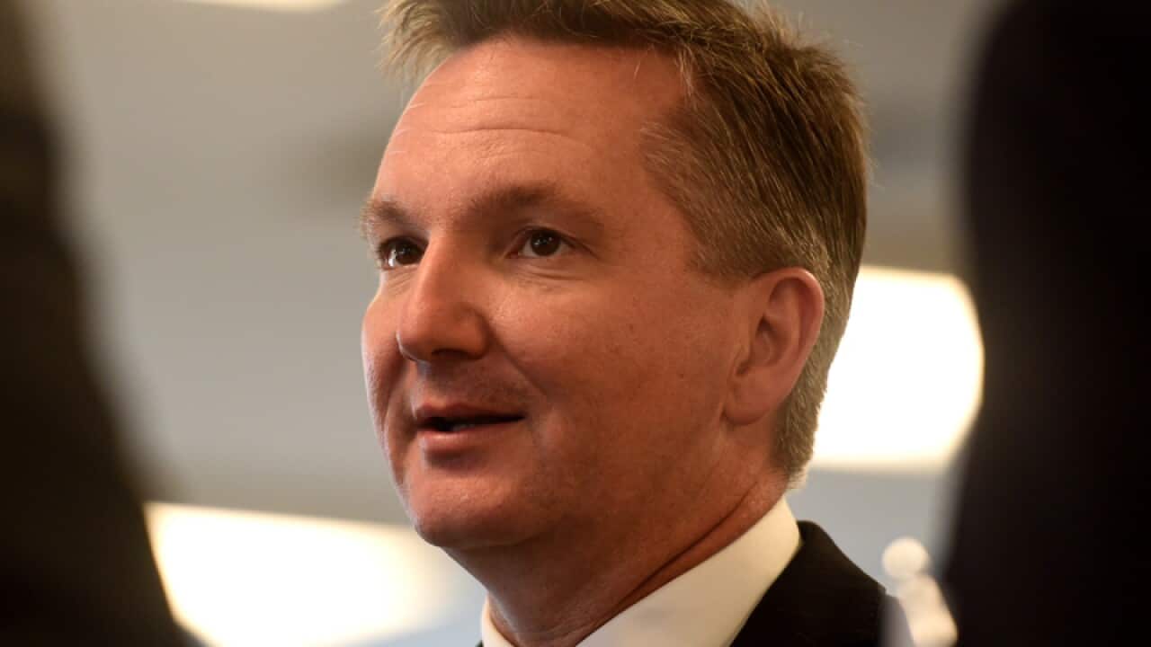Shadow Treasurer Chris Bowen